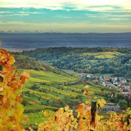 Au Coeur Du Vignoble *