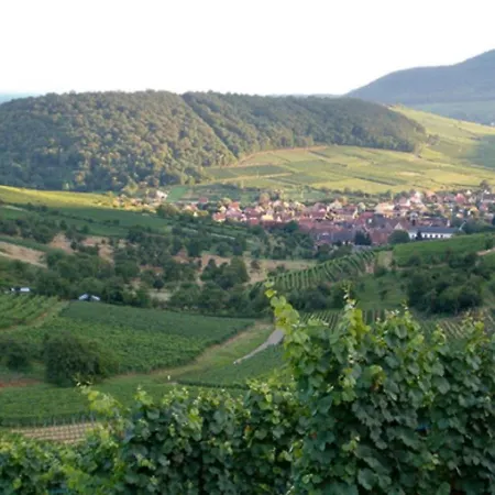 Au Coeur Du Vignoble Διαμέρισμα