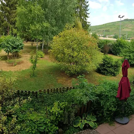 Διαμέρισμα Au Coeur Du Vignoble Westhalten